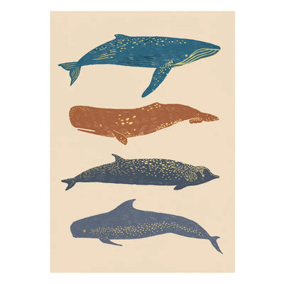 Whales Postcard